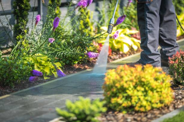  Spring, TX Pressure Washing Pros