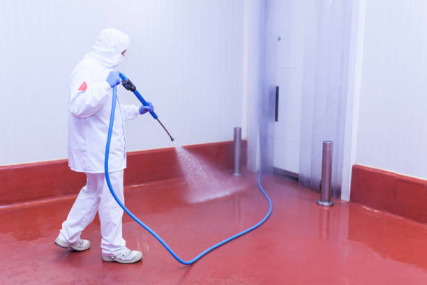 Best Brick and Stone Cleaning in Spring, TX