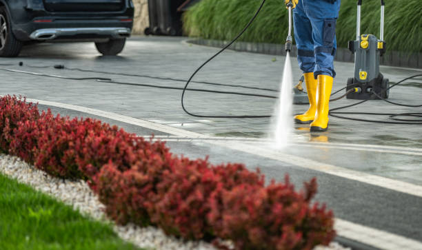 Best Gutter Cleaning and Brightening in Spring, TX